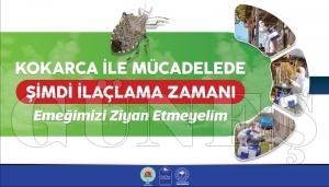 Fatsa Belediye Bakan Etem Kibar; Fndk hasadna sayl gnler kala kokarca ile mcadele nemli