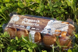 ORGANK SERTFKALI YUMURTALAR REYONLARDA YERN ALDI