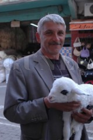 EVNDE KUZU BESLYOR