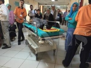 ZM YAPRAI TOPLARKEN AATAN DTLER