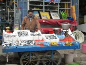 Hamsi sezonu kapand