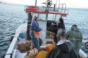 Balıkçılar göç yolu gözlüyor