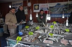 FATSA'DA BALIK FYATLARI SABT DEL