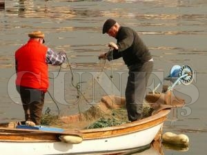 Soğuk havalar balık fiyatlarını yükseltti Soğuk havalar balık fiyatlarını yükseltti