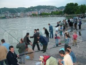 BELGESİ OLMAYAN BALIK TUTAMAZ... BELGESİ OLMAYAN BALIK TUTAMAZ...