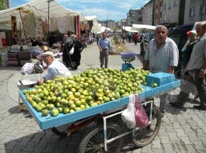 ARMUTÇULAR İŞLERDEN MEMNUN ARMUTÇULAR İŞLERDEN MEMNUN