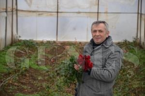 SÜS BİTKİSİ SERALARINDA KAR ZARARI SÜS BİTKİSİ SERALARINDA KAR ZARARI