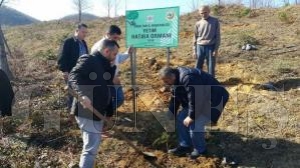HHDAN FATSAYA YETM HATIRA ORMANI