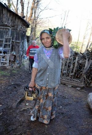 55 YAŞINDAKİ TENZİLE YILMAZER, MOTORLU TESTERE İLE AĞAÇ KESİYOR 55 YAŞINDAKİ TENZİLE YILMAZER, MOTORLU TESTERE İLE AĞAÇ KESİYOR