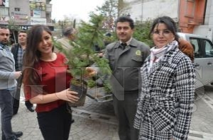 FATSA'DA 5 BİN FİDAN 15 DAKİKA İÇİNDE TÜKENDİ FATSA'DA 5 BİN FİDAN 15 DAKİKA İÇİNDE TÜKENDİ