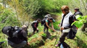 ORDU'NUN DOĞA YÜRÜYÜŞ ROTALARI BELİRLENİYOR ORDU'NUN DOĞA YÜRÜYÜŞ ROTALARI BELİRLENİYOR
