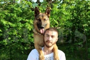 Sadık dostlar eğitimle daha sadık oluyor Sadık dostlar eğitimle daha sadık oluyor