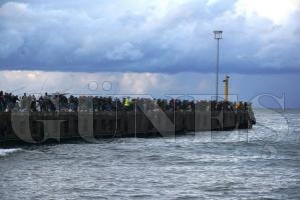 FATSA İSKELESİ'NDE ÇİNEKOP BEREKETİ FATSA İSKELESİ'NDE ÇİNEKOP BEREKETİ
