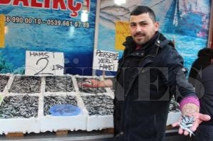 Hamsi 2 TL’ye düştü, vatandaş tezgaha koştu Fatsa’da hamsi fiyatları 2 TL’ye kadar geriledi Hamsi 2 TL’ye düştü, vatandaş tezgaha koştu Fatsa’da hamsi fiyatları 2 TL’ye kadar geriledi