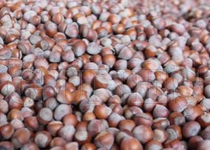 Soydan: �Kimse f�nd�k fiyatlar�ndan memnun de�il�