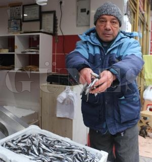 Hamsi bir g�nde 6 TL y�kseldi