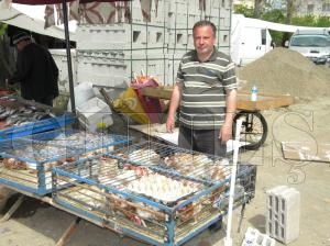 Canl Tavuk 5 Lira