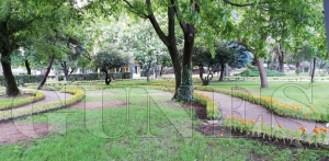 Atatürk parkı yeni yüzüne kavuşuyor Atatürk parkı yeni yüzüne kavuşuyor