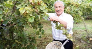 Başkan Hilmi Güler: “45 milyon cebe girecek! Başkan Hilmi Güler: “45 milyon cebe girecek!