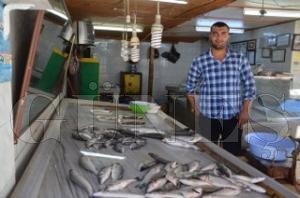 Ramazan'da Balk Fiyatlar