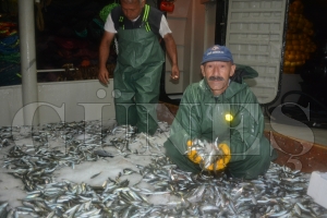 HAMS ALTIN YILINI YAADI