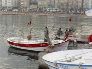 Balklar yeni sezona hazrlanyor