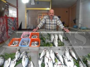 Souk Hava Hamsiyi Dndrd
