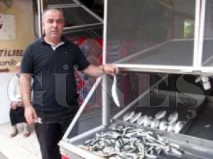 TEZGAHLARDA EN FAZLA İSTAVRİT YERİNİ ALDI TEZGAHLARDA EN FAZLA İSTAVRİT YERİNİ ALDI