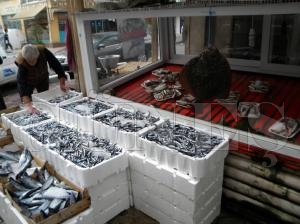 HAMS GER GELNCE  FYATI 3,5 LRAYA DT