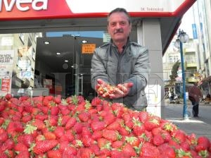 Kırmızı Çilekler Tezgahlarda