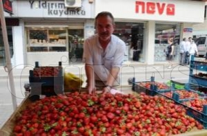 Yerli ilekler tezghlar sslyor
