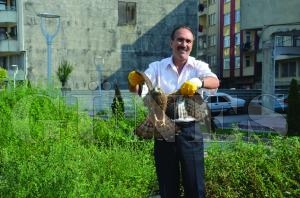 YARALI AHN'  KEDLERN ELNDEN KURTARDI