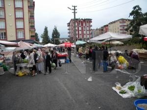 Kış ayı bereketi Kış ayı bereketi