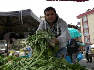 Yeşil Fasulye 3 TL. Yeşil Fasulye 3 TL.