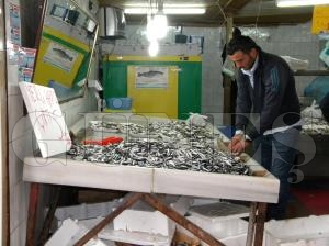 HAMSİ, BALIKÇI TEZGÂHLARINI SÜSLEMEYE BAŞLADI HAMSİ, BALIKÇI TEZGÂHLARINI SÜSLEMEYE BAŞLADI