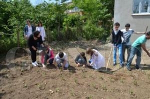 Engel Tanmayan renciler Bahede Sebze Diktiler