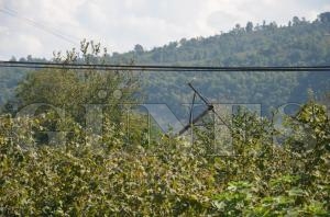 YIKILMAK ZERE OLAN AHAP  ELEKTRK DRE TEHLKE SAIYOR