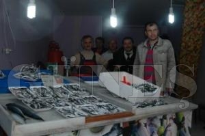 HAMSİ 1 TL'YE KADAR DÜŞTÜ