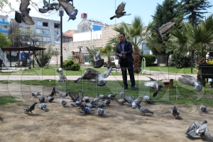 Bakan Kibar: Sokak hayvanlar; bizim sevgi ve efkat yanmz