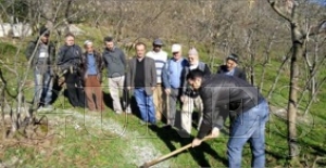 FINDIK ÜRETİCİLERİNE UYGULAMALI EĞİTİM VERİLDİ FINDIK ÜRETİCİLERİNE UYGULAMALI EĞİTİM VERİLDİ