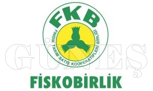 FİSKOBİRLİK 4 TL'den fındık alıyor FİSKOBİRLİK 4 TL'den fındık alıyor