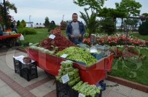 Erik ve yerli kiraz tezghlarda