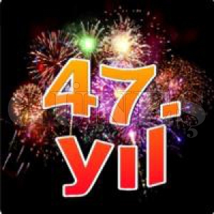 Mutluyuz... Gururluyuz...  Gne Gazetesi 47 yanda