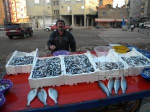 HAMS� AZ �IKTI,  F�YAT ARTTI