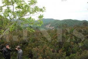 FATSA BELEDYES SOKAK HAYVANLARINA SAHP IKTI
