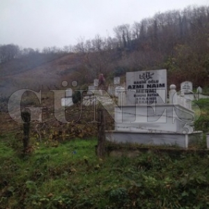 HOYLU'DA RNEK DAVRANI