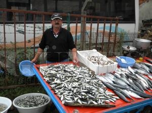 İSTAVRİT EN ÇOK ÇIKAN BALIK İSTAVRİT EN ÇOK ÇIKAN BALIK