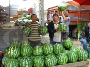 Karpuzun kilosu 2 Lira'dan satlyor