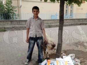 Kayıp Koyunu Oyun Oynayan Çocuk Buldu