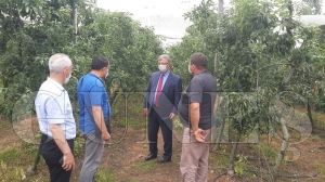 Kaymakam Yaran, meyve bahesinde incelemelerde bulundu